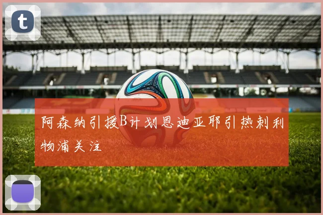 阿森纳引援B计划恩迪亚耶引热刺利物浦关注